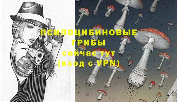 ПСИЛОЦИБИНОВЫЕ ГРИБЫ Остров
