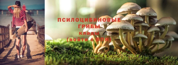 мяу мяу мука Абаза