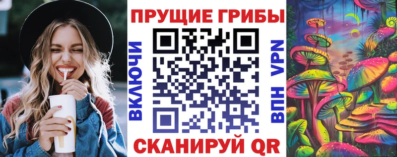 где продают наркотики  Серафимович  Псилоцибиновые грибы Cubensis 